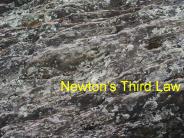 Newton’s Third Law