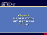 Anderson 19th Ed.  2005