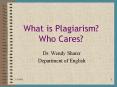What is Plagiarism? Who Cares? PowerPoint PPT Presentation