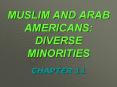 MUSLIM AND ARAB AMERICANS: DIVERSE MINORITIES CHAPTER 1 PowerPoint PPT Presentation