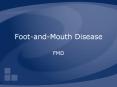 Foot-and-Mouth Disease PowerPoint PPT Presentation