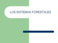 LOS SISTEMAS FORESTALES PowerPoint PPT Presentation