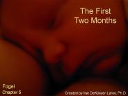 The First Two Months