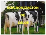 Diapositiva 1
