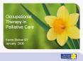 Occupational Therapy in Palliative Care PowerPoint PPT Presentation