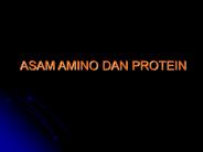 ASAM AMINO DAN PROTEIN