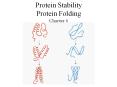 Protein Stability Protein Folding Chapter 6 PowerPoint PPT Presentation