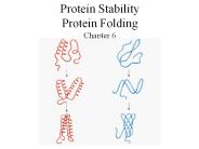 Protein Stability Protein Folding Chapter 6