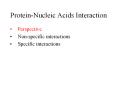 Protein-Nucleic Acids Interaction PowerPoint PPT Presentation