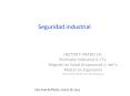 Seguridad industrial PowerPoint PPT Presentation
