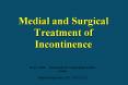 Medial and Surgical Treatment of Incontinence PowerPoint PPT Presentation