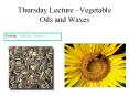 Thursday Lecture –Vegetable Oils and Waxes PowerPoint PPT Presentation