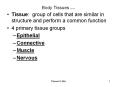 Body Tissues rev 9-11 PowerPoint PPT Presentation