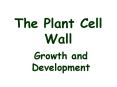 The Plant Cell Wall PowerPoint PPT Presentation
