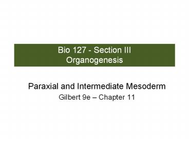 Bio 127 - Section III Organogenesis