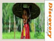 Online Travel Agents