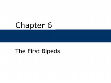 The First Bipeds