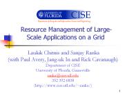 Resource Management of Large-Scale Applications on a Grid