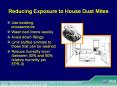 Reducing Exposure to House Dust Mites PowerPoint PPT Presentation