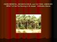 ENVIRONMENTAL, ARCHAEOLOGICAL and CULTURAL LANDSCAPE IMPACT of the Fire Burning in Al-rowase - Al Khukha District PowerPoint PPT Presentation