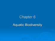 Aquatic Biodiversity