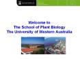 Welcome to The School of Plant Biology The University of Western Australia PowerPoint PPT Presentation