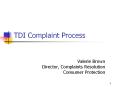 TDI Complaint Process PowerPoint PPT Presentation