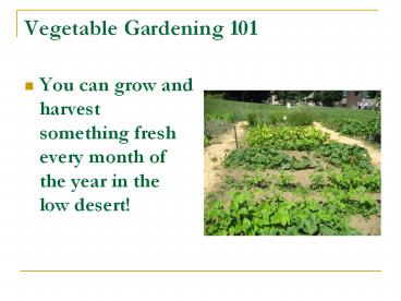 Vegetable Gardening 101