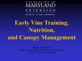 Early Vine Training, PowerPoint PPT Presentation