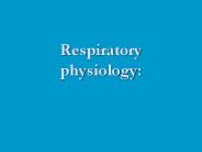 Respiratory physiology