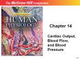 Chapter 14 Cardiac Output, Blood Flow, and Blood Pressure PowerPoint PPT Presentation