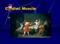 Cardiac Muscle PowerPoint PPT Presentation