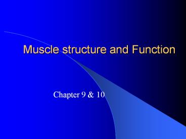 presentation player overlay