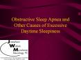 Obstructive Sleep Apnea and Other Causes of Excessive Daytime Sleepiness PowerPoint PPT Presentation