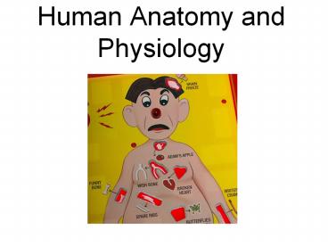 Human Anatomy and Physiology