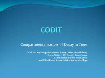 presentation player overlay