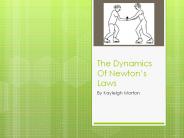 The Dynamics Of Newton's Laws