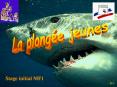 stage initial MF1 - plongйe enfants PowerPoint PPT Presentation