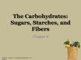 The Carbohydrates: Sugars, Starches, and Fibers PowerPoint PPT Presentation