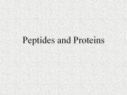 Peptides and Proteins
