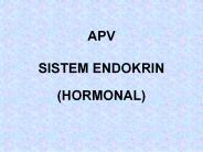 APV SISTEM ENDOKRIN