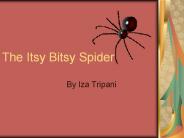 The Itsy Bitsy Spider