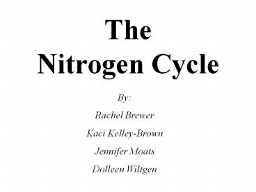 The Nitrogen Cycle By: Rachel Brewer Kaci Kelley-Brown