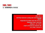 3. NITROGEN CYCLE