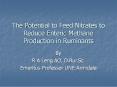 The Potential to Feed Nitrates to Reduce Enteric Methane Production in Ruminants PowerPoint PPT Presentation