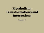 Metabolism: Transformations and Interactions