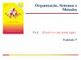 Organizaзгo, Sistemas e Mйtodos PowerPoint PPT Presentation