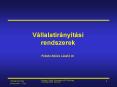 Vбllalatirбnyнtбsi rendszerek Fekete-Szucs Lбszlу dr. PowerPoint PPT Presentation