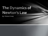 The Dynamics Of Newton's Laws