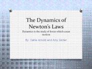 The Dynamics of Newtons Laws